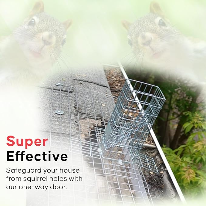EFFECTIVE SQUIRREL AND RATS SOLUTION
